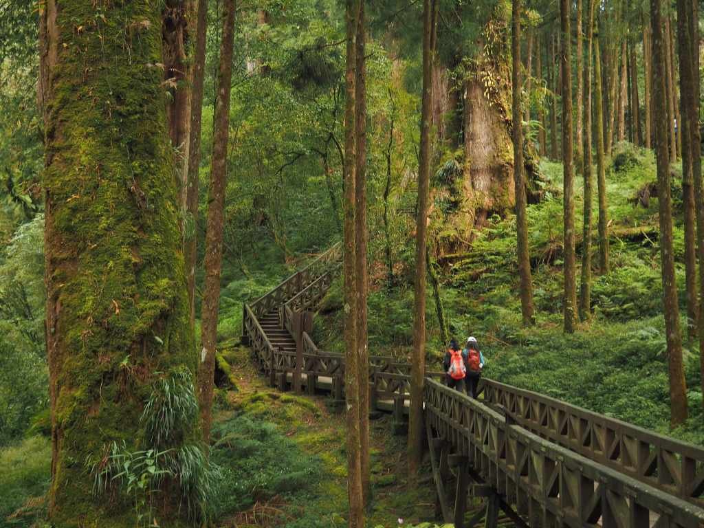 Alishan, Taiwan