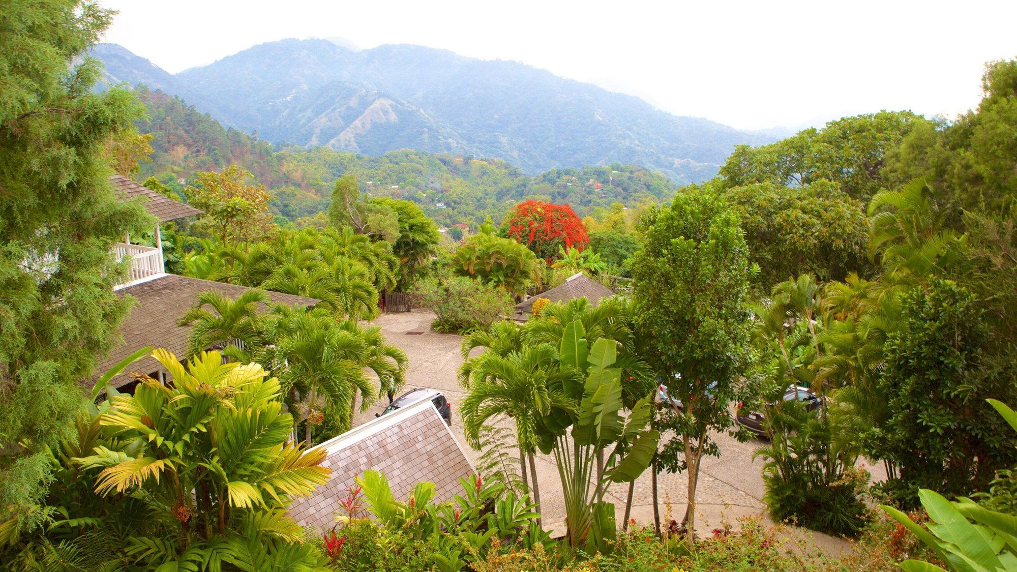 Irish Town, Jamaica