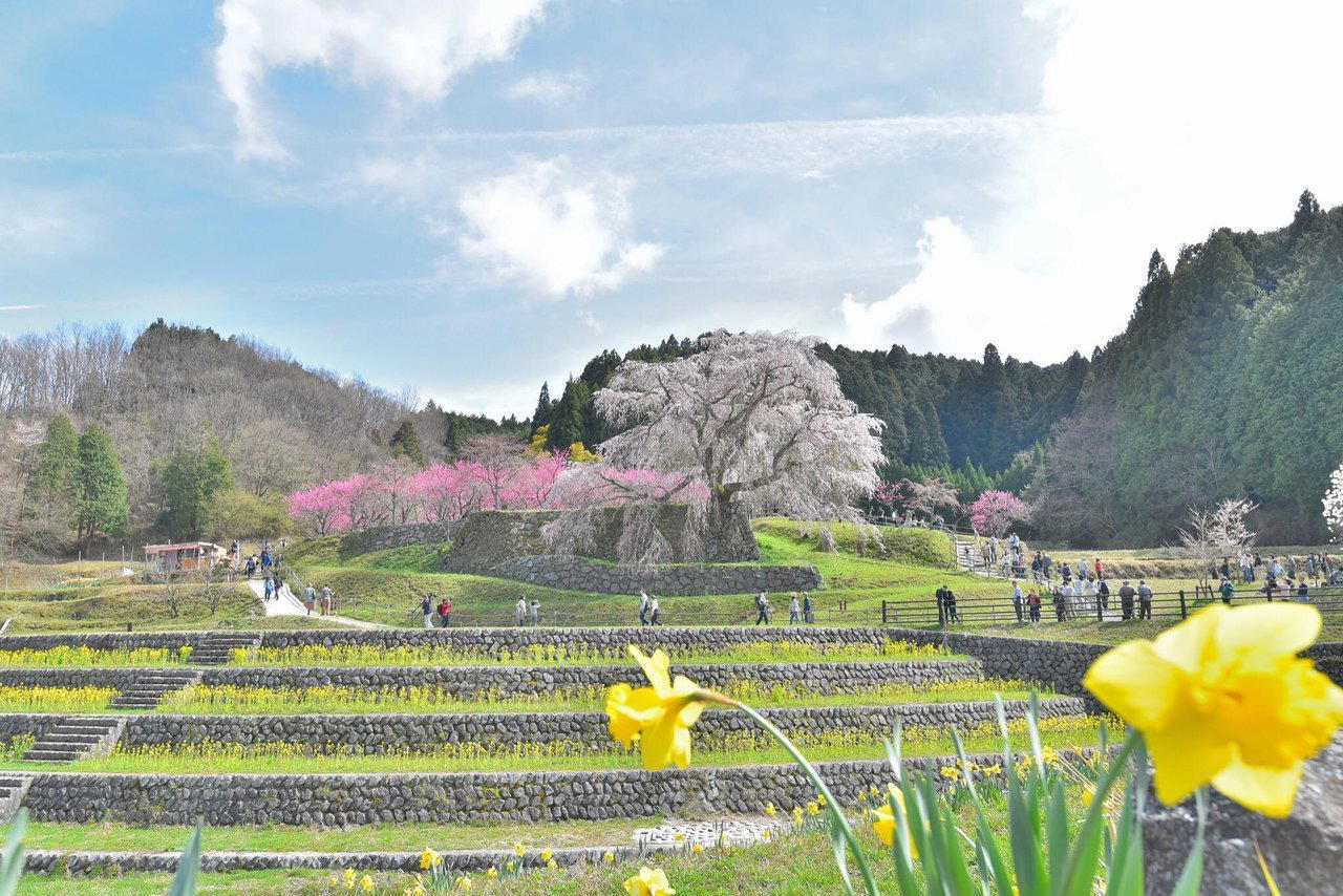 Uda, Japan