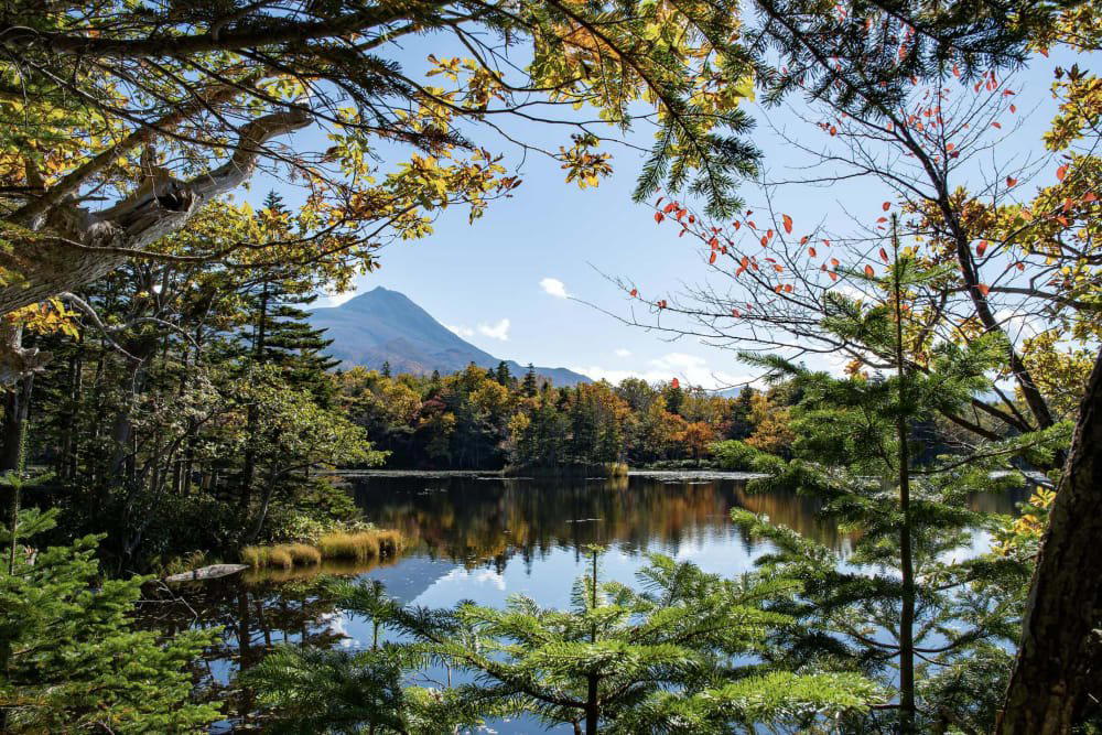Hokkaido (Shiretoko), Japan