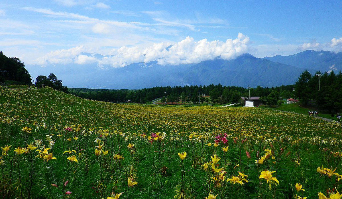 Suwa-gun, Japan