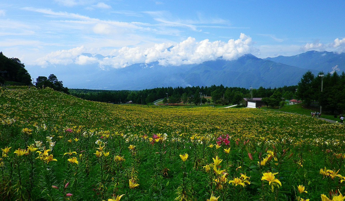 Suwa-gun, Japan