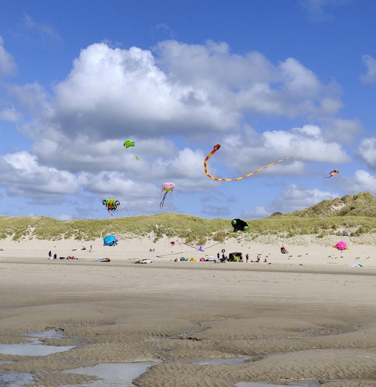 Berck, France