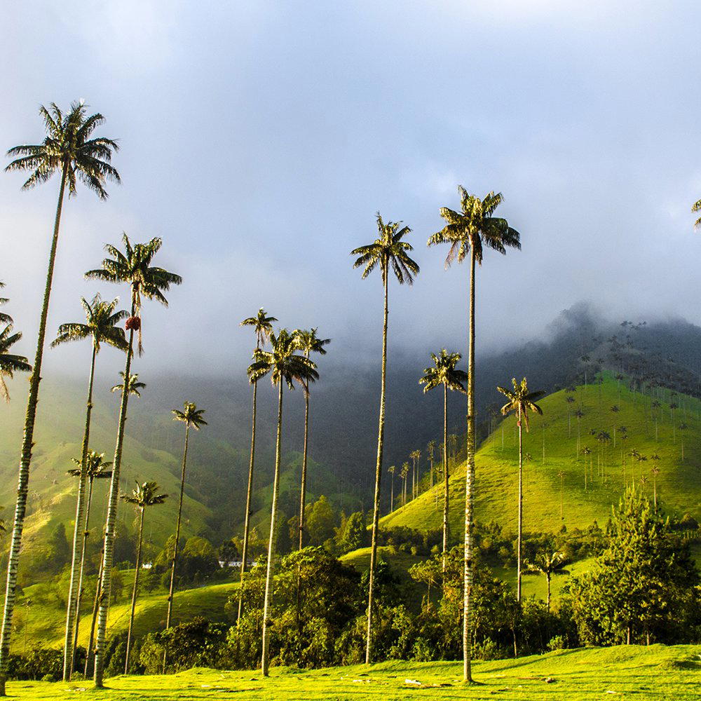 Quindio, Colombia