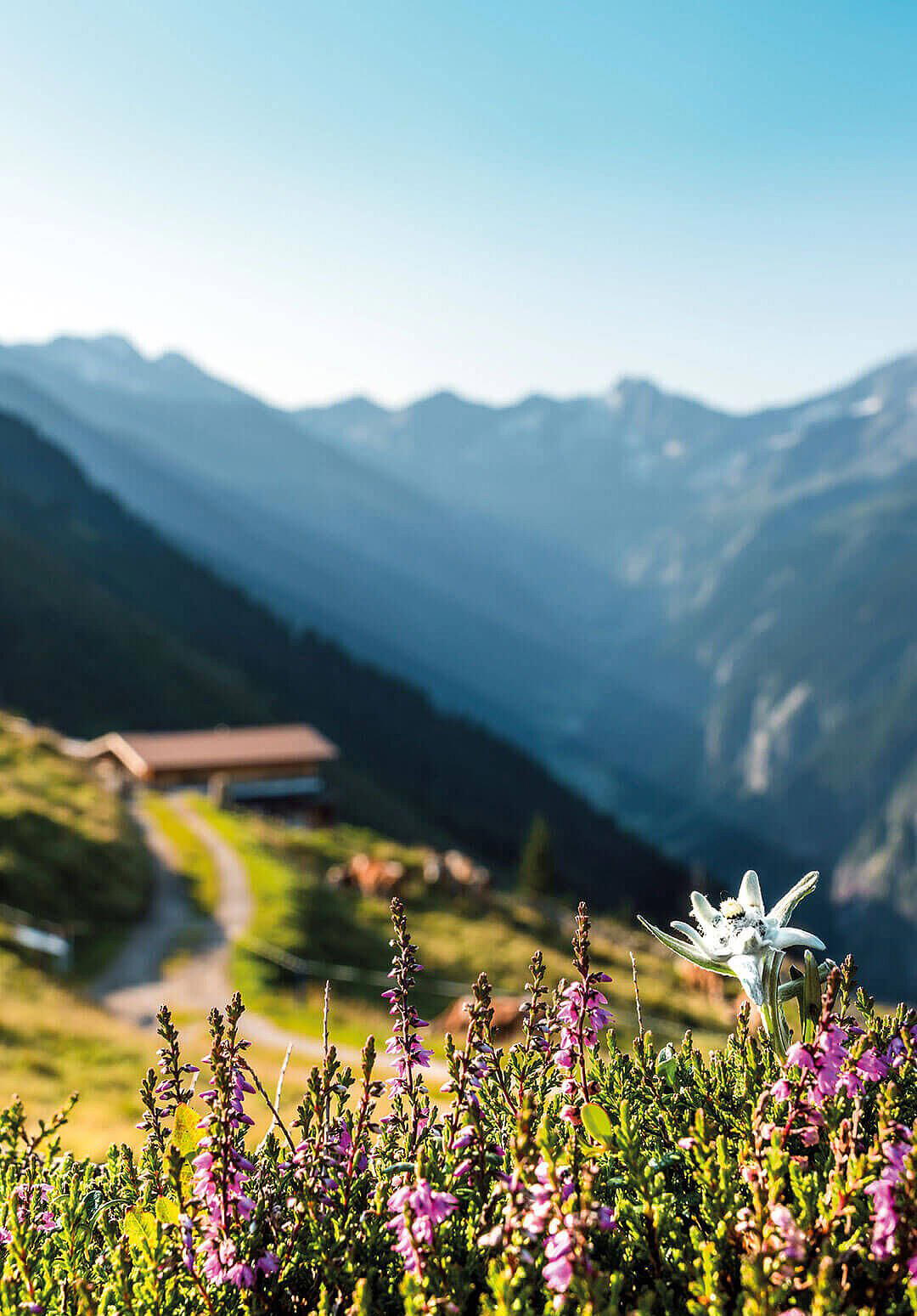 Hippach, Austria