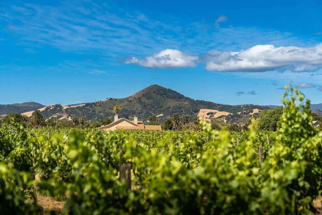 Morgan Hill, United States