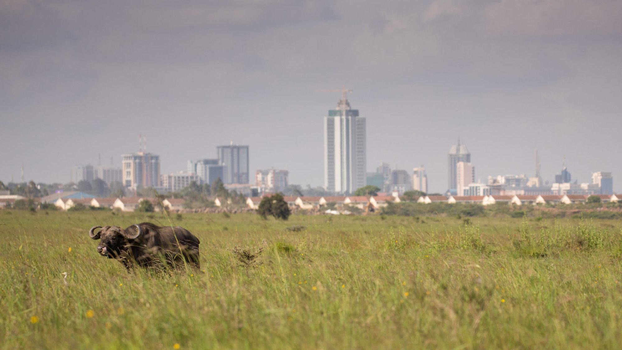 Kwale, Kenya