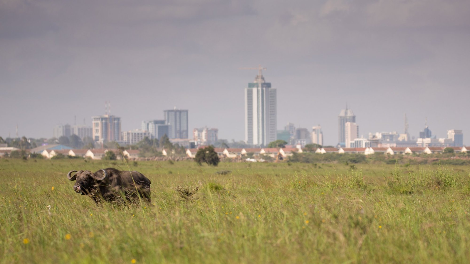 Kwale, Kenya