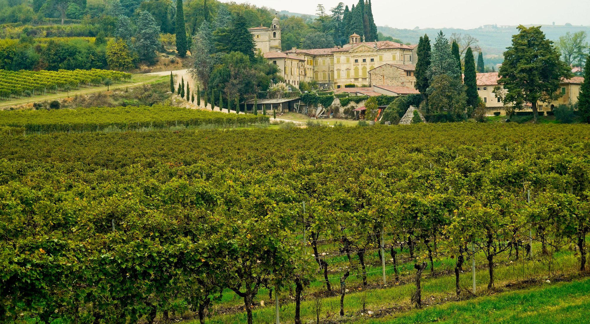Mezzane Di Sotto, Italy
