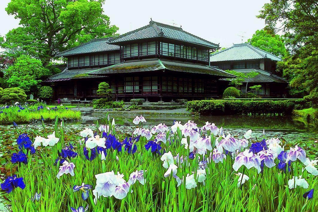 Yatsushiro, Japan