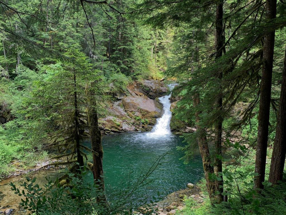 Forest, United States