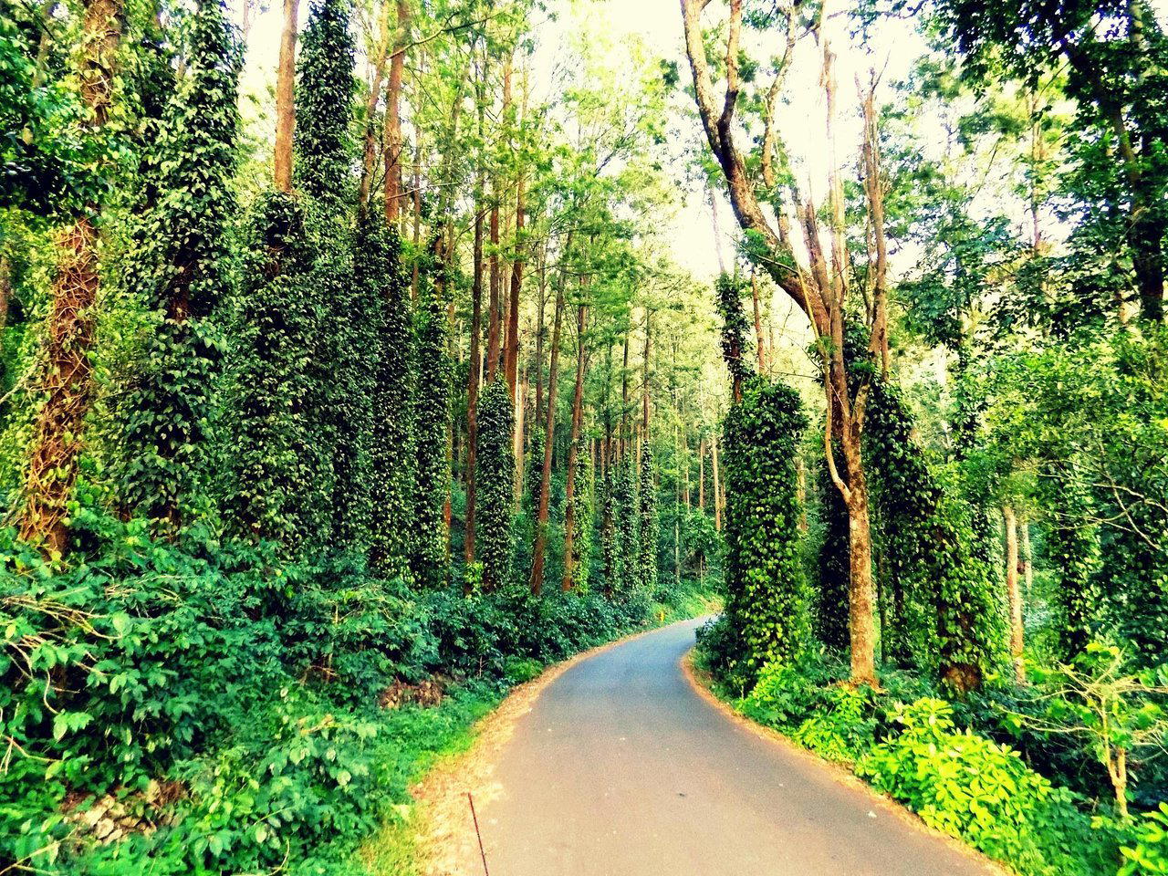 Yercaud, India