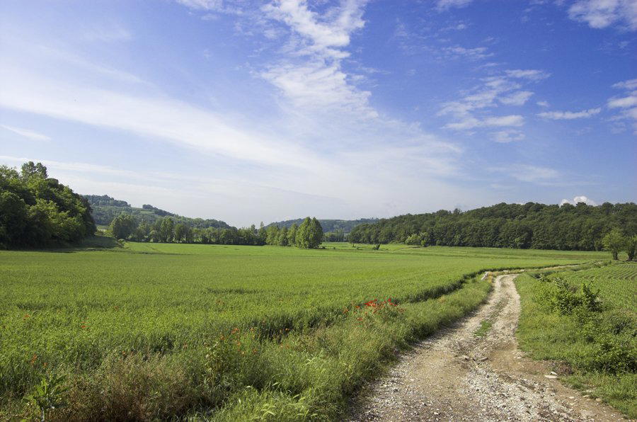 Sommacampagna, Italy