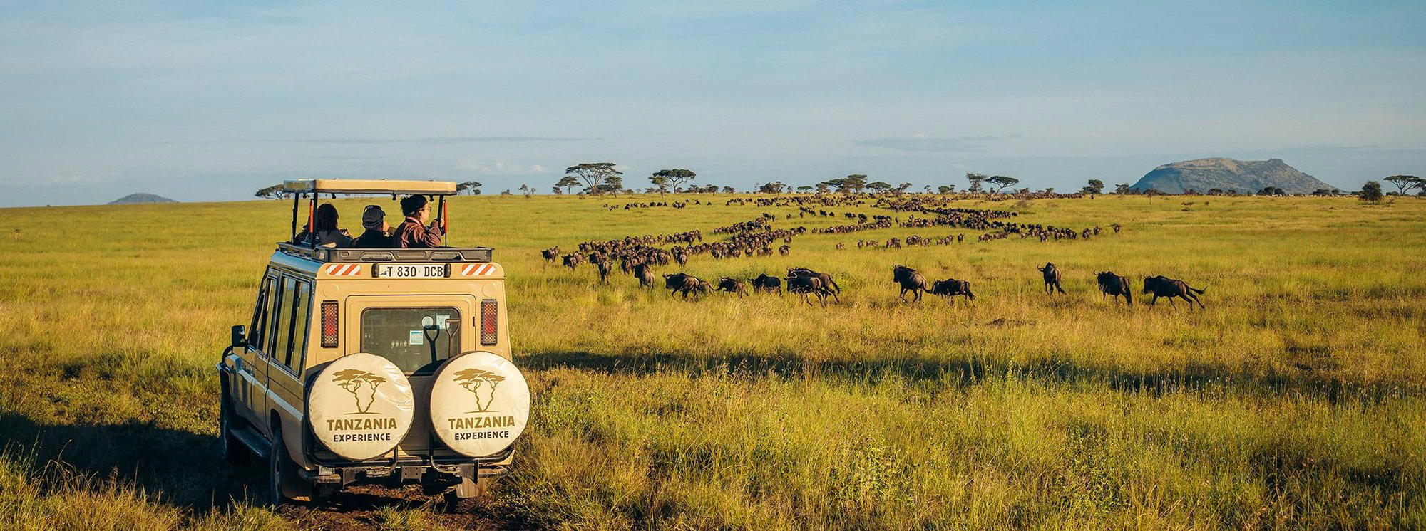 Serengeti, Tanzania