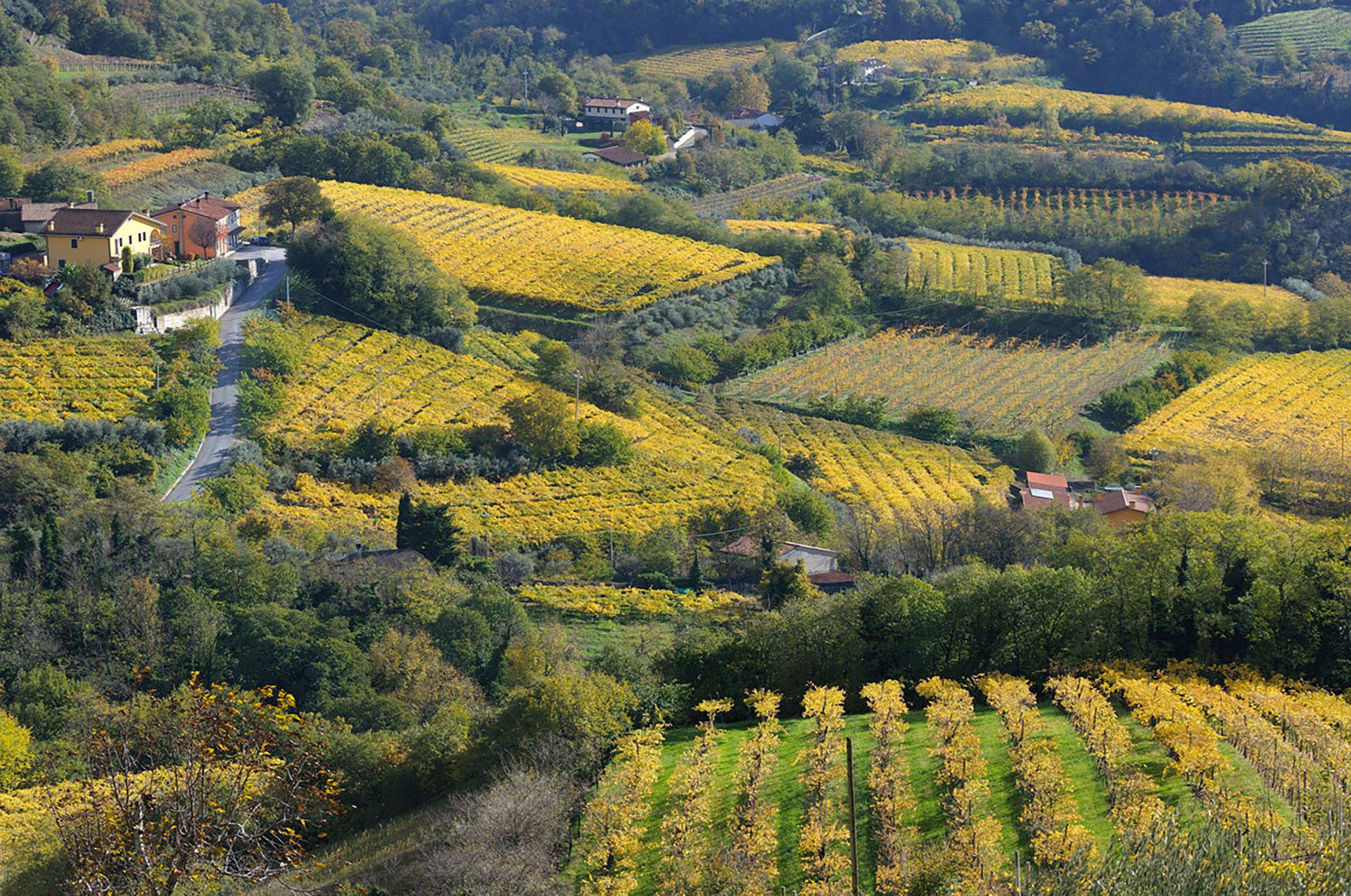 Gambellara, Italy
