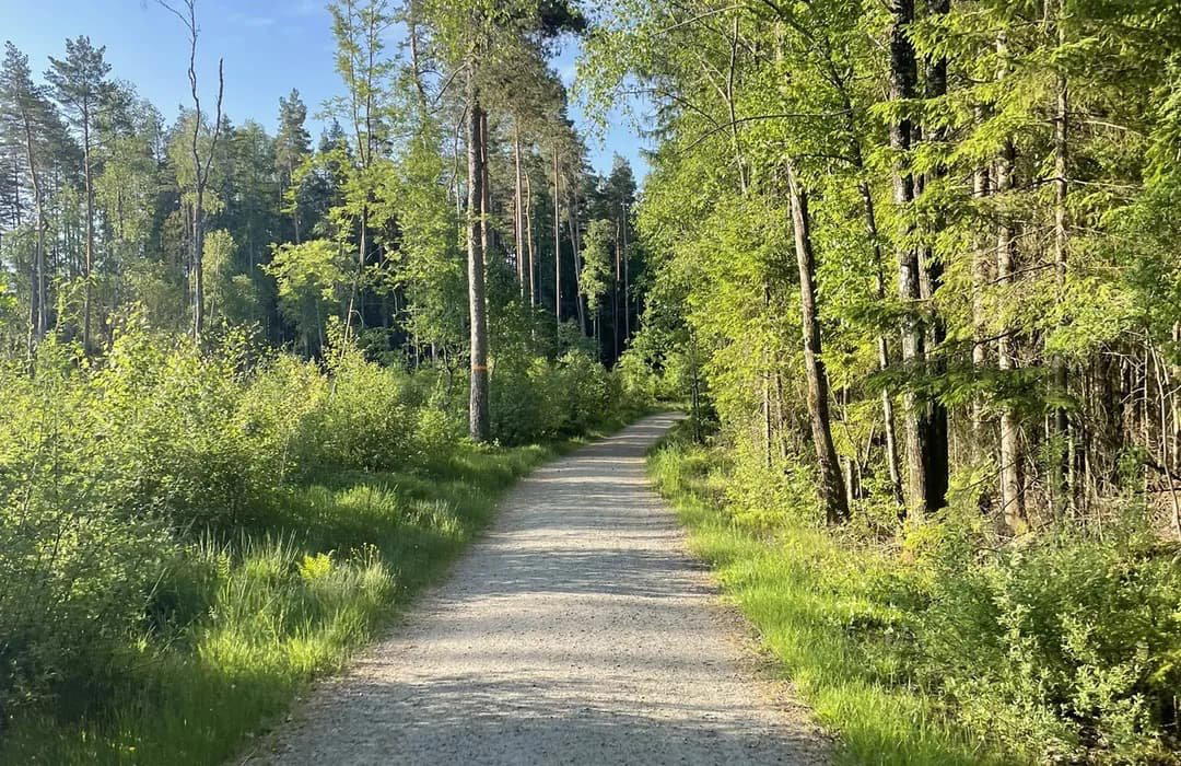 Hindas, Sweden