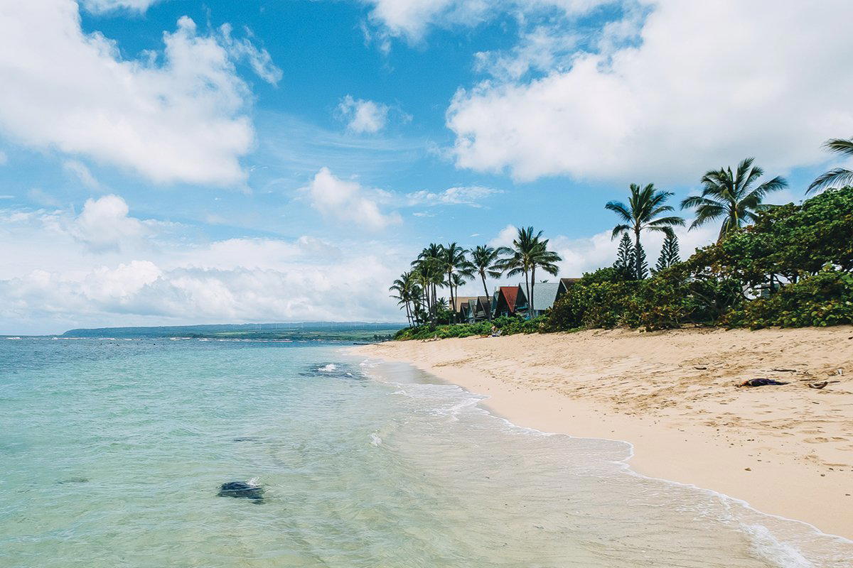 Waialua, United States