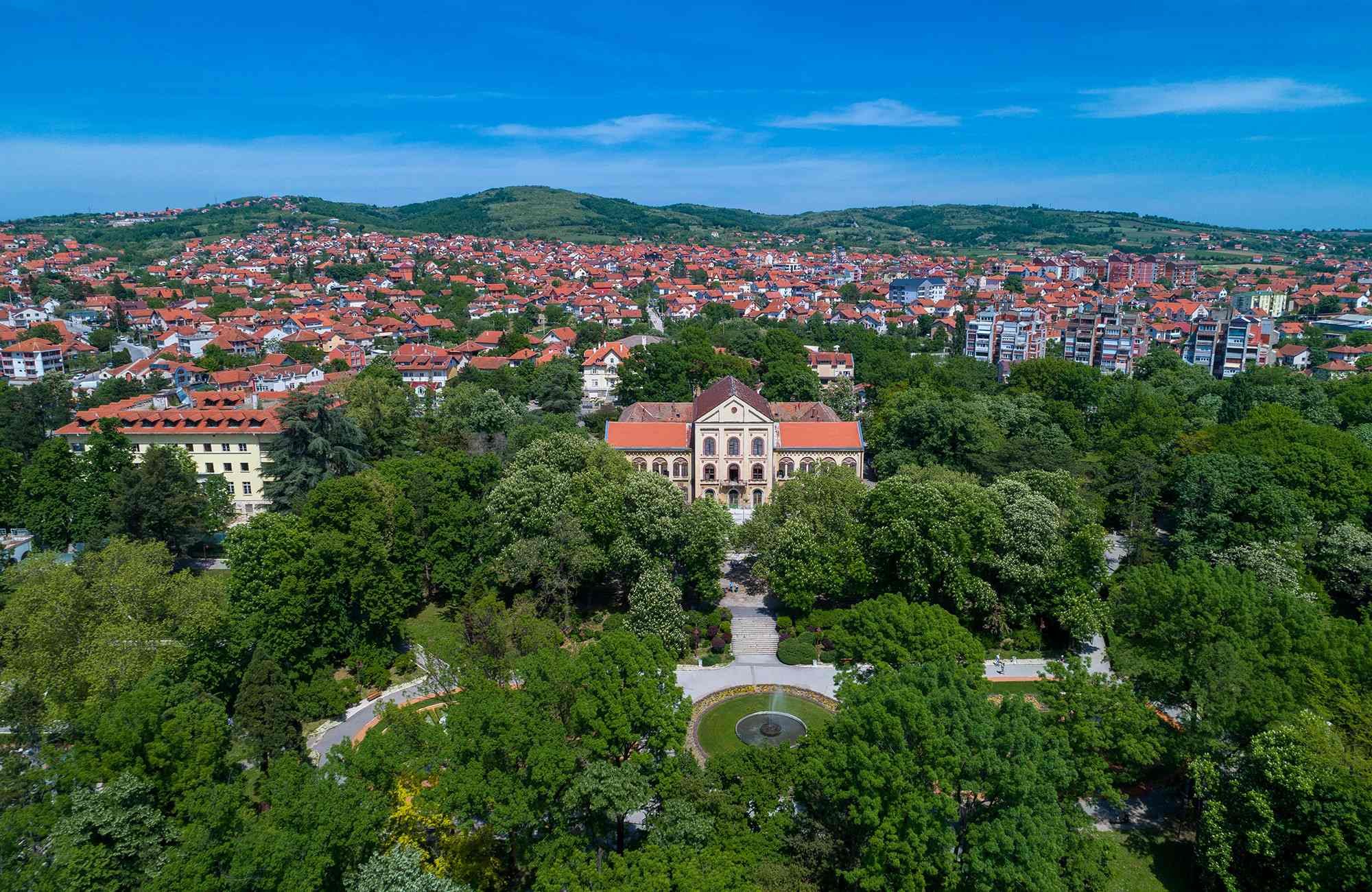 Aran Elovac, Serbia