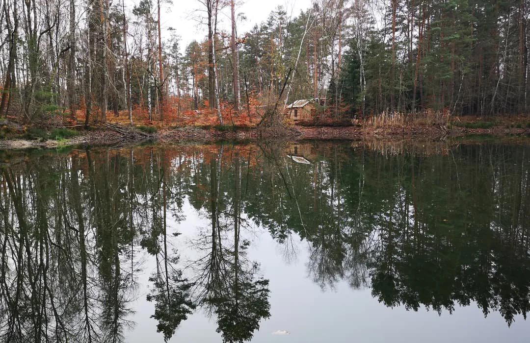 Bucha, Germany