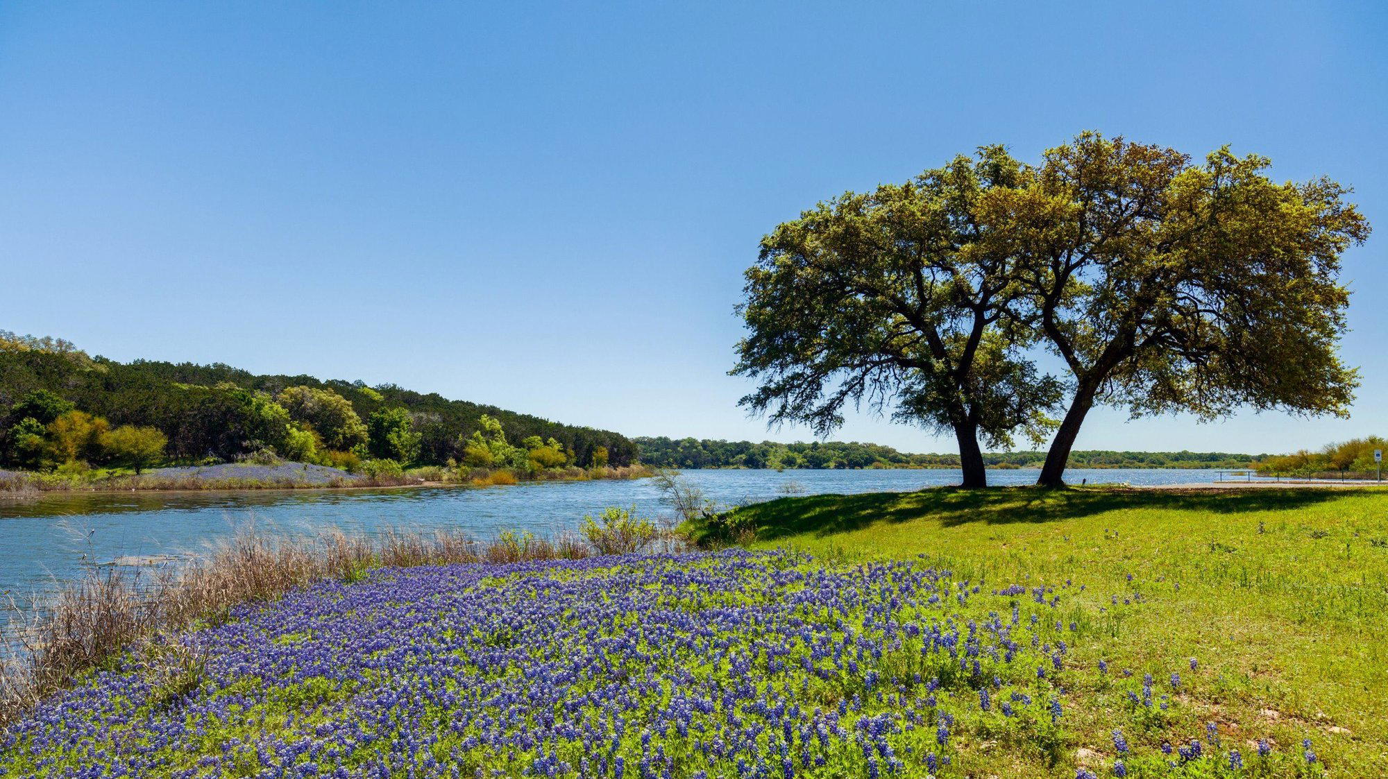 Cedar Hill, United States