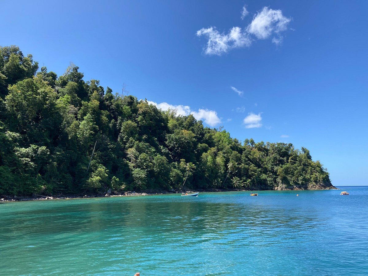 Toucari, Dominica