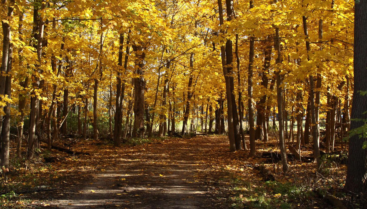 Palos Park, United States