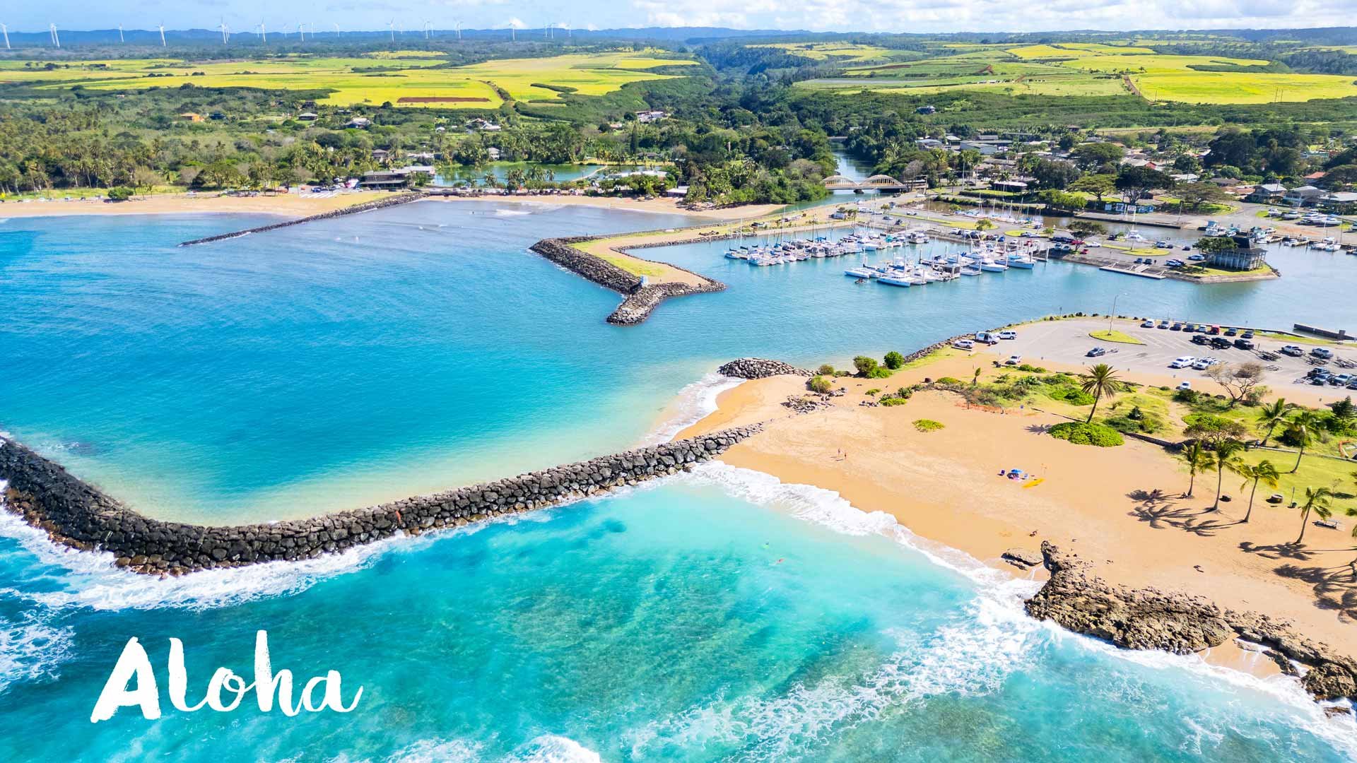 Haleiwa, United States