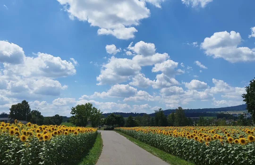 Oberglatt, Switzerland