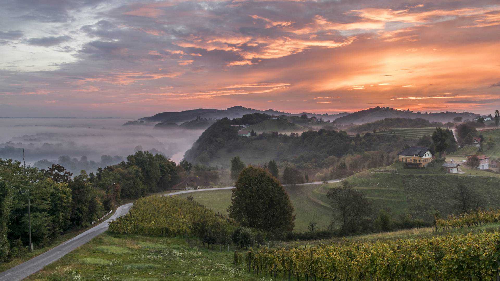 Brezovica, Slovenia