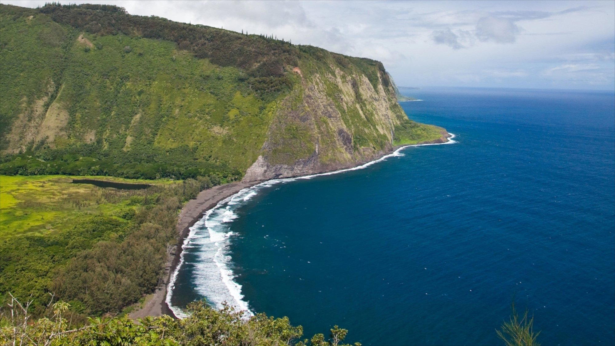 Honokaa, United States