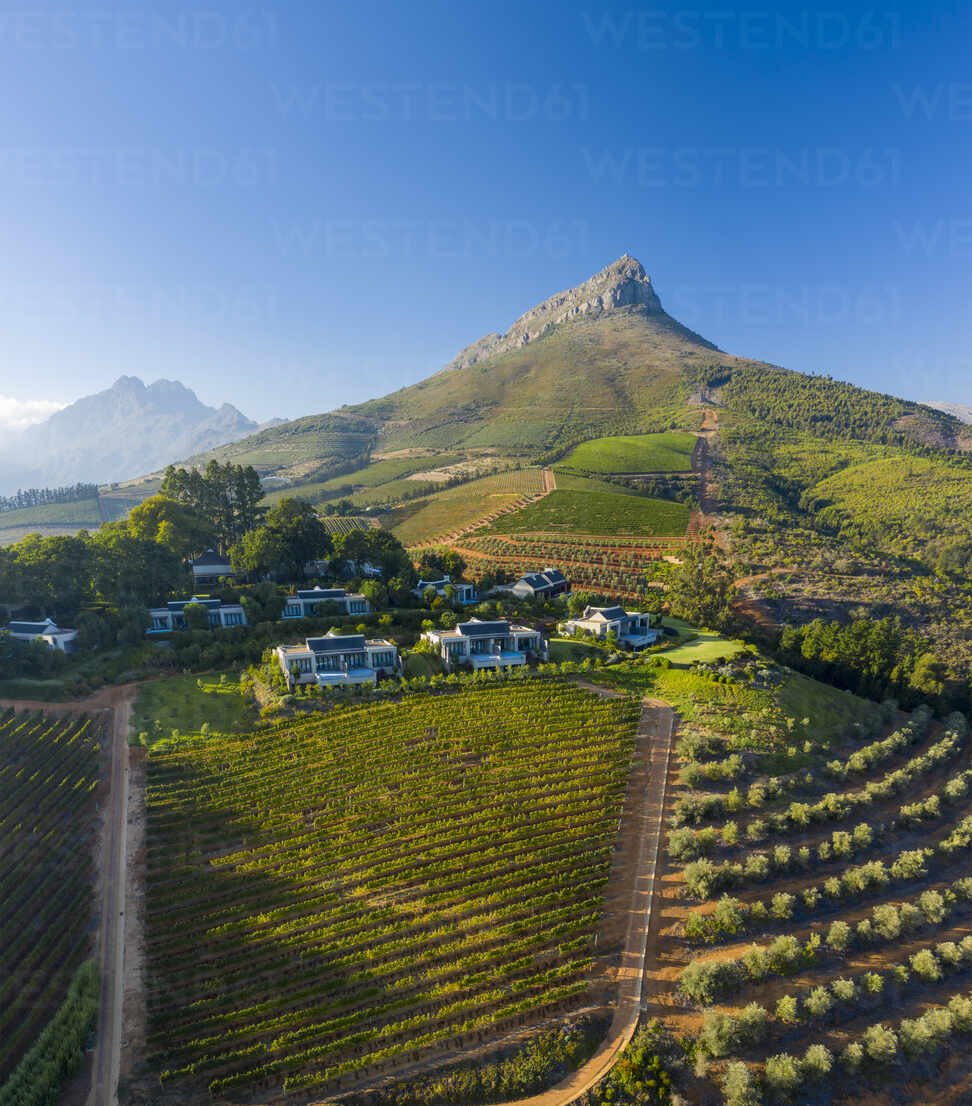 Stellenbosch Nu, South Africa