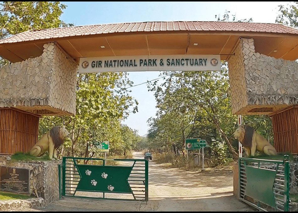 Sasan Gir, India