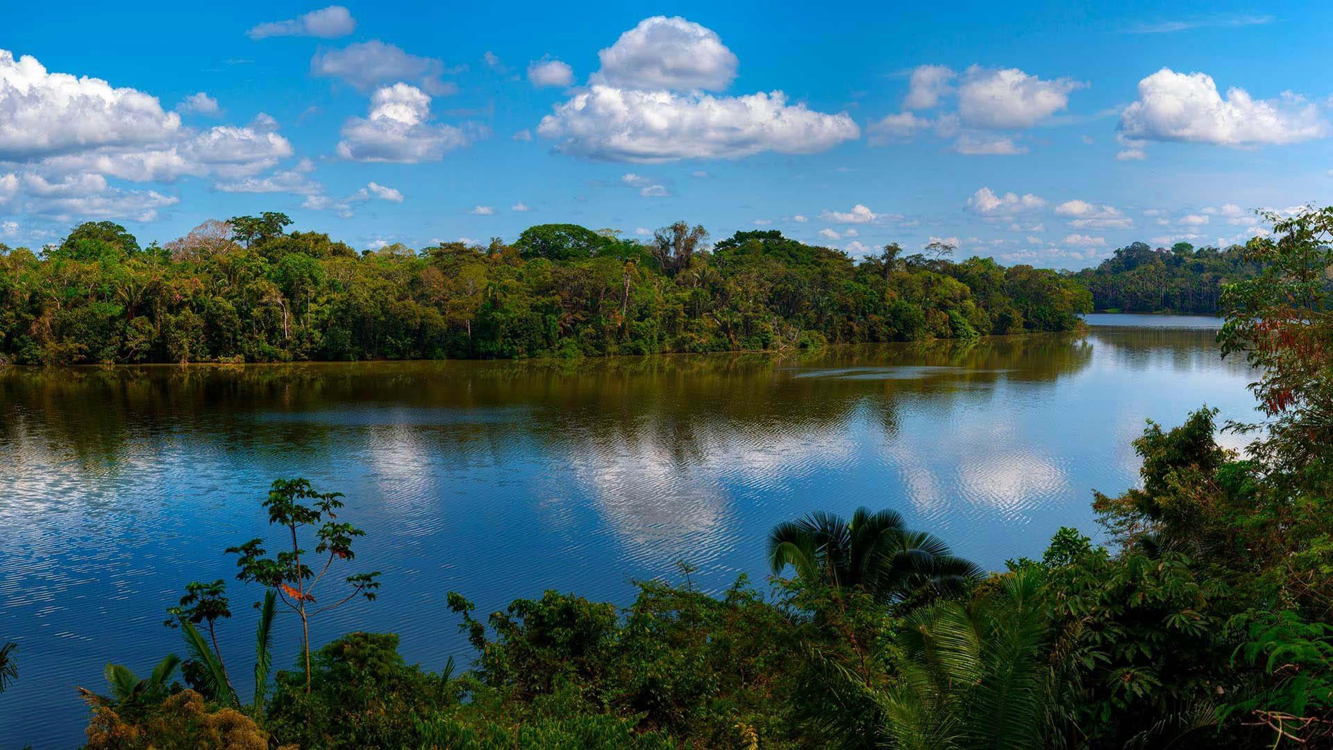 Tambopata, Peru