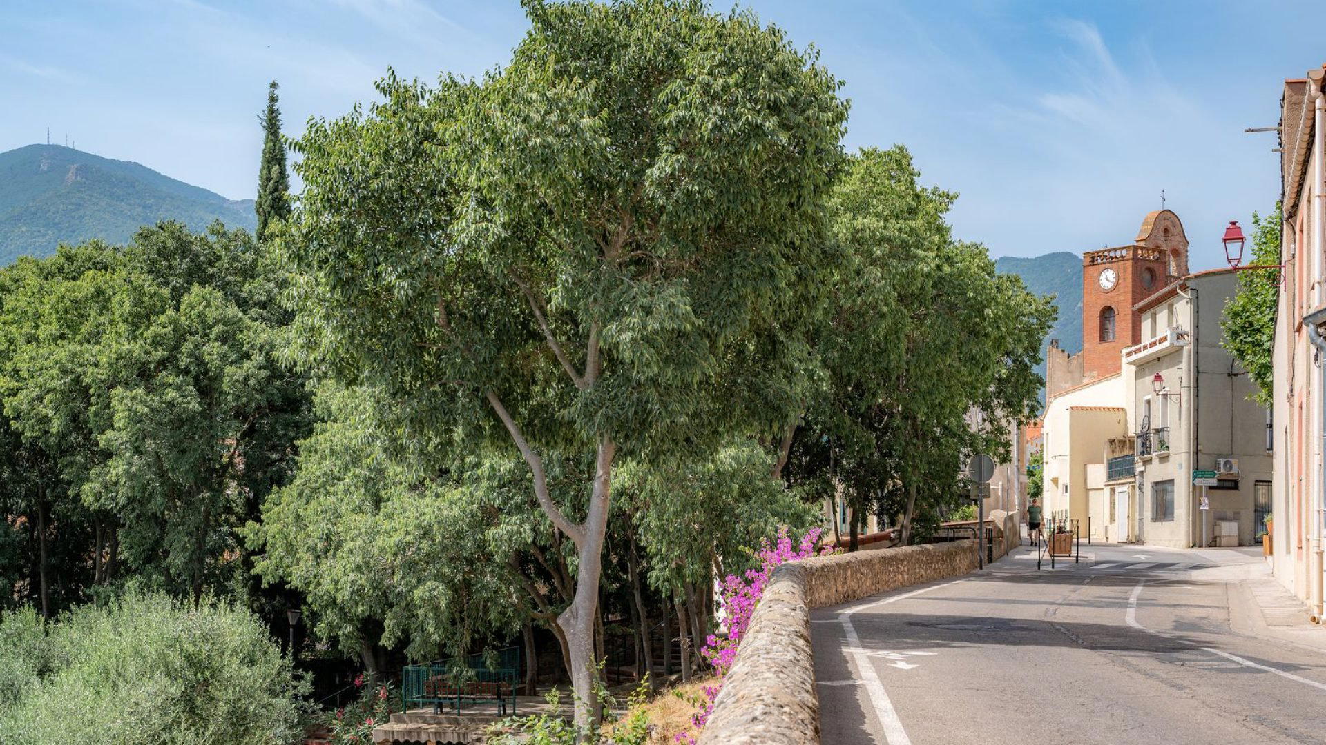 Sorede, France