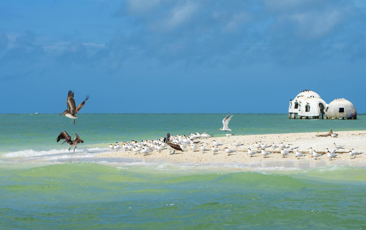 Marco Island, United States