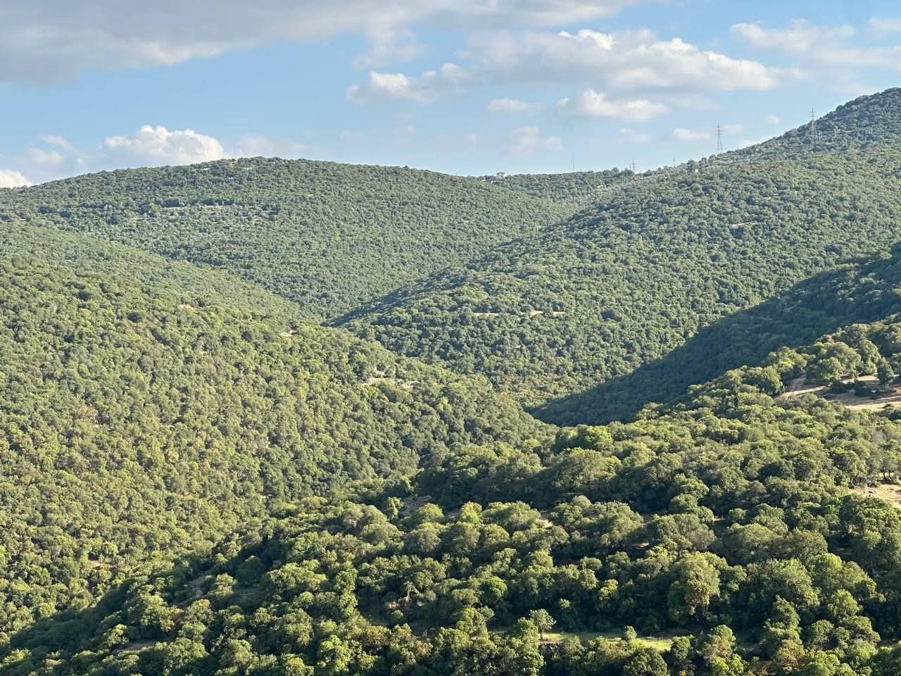 Al Kourah District, Jordan