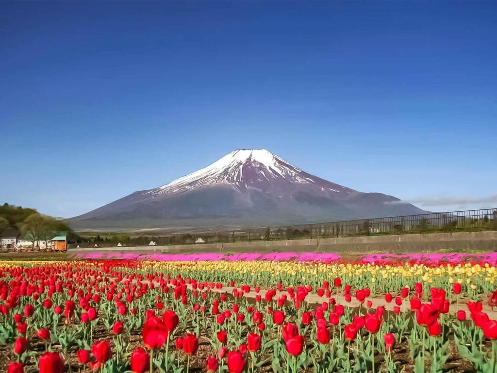Minamitsuru-gun, Japan