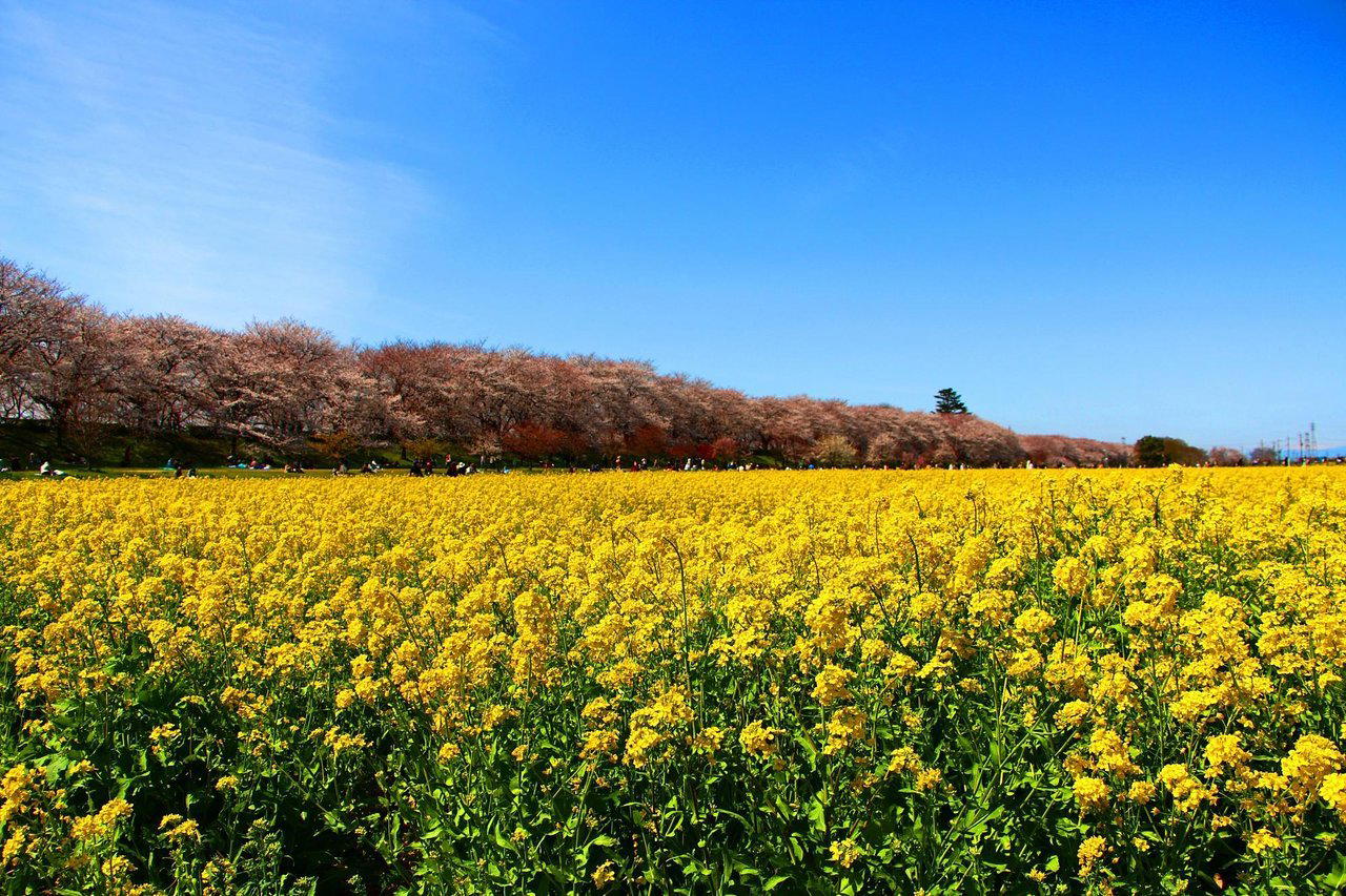 Satte, Japan