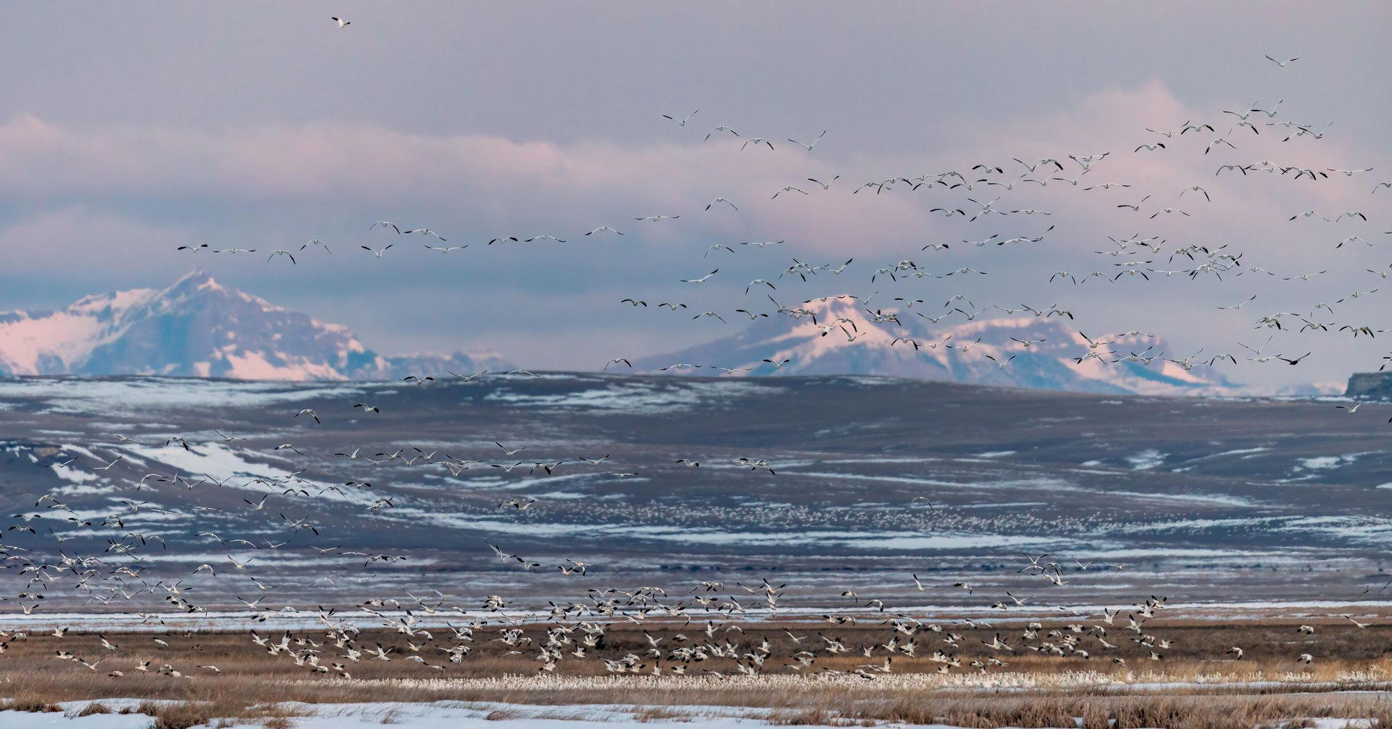 Choteau, United States
