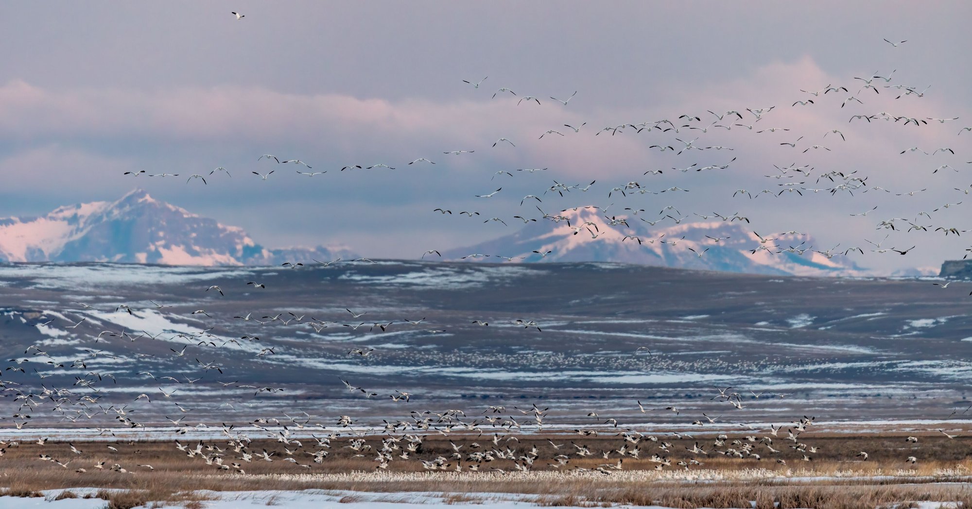Choteau, United States