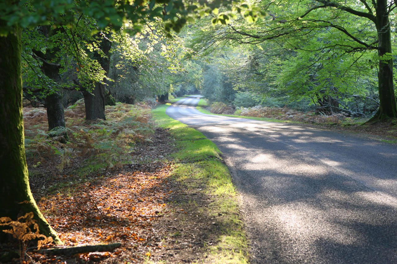 Brockenhurst, United Kingdom