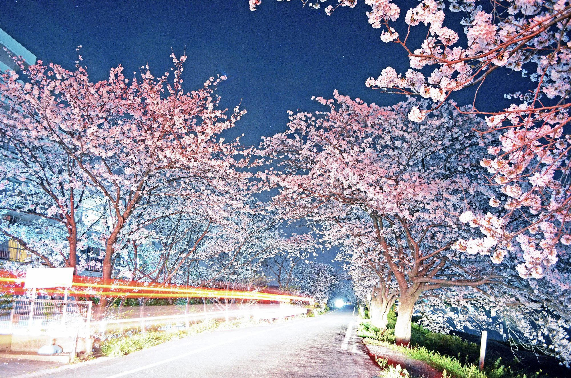 Yukuhashi, Japan