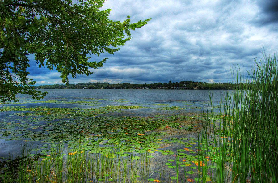 Scugog, Canada