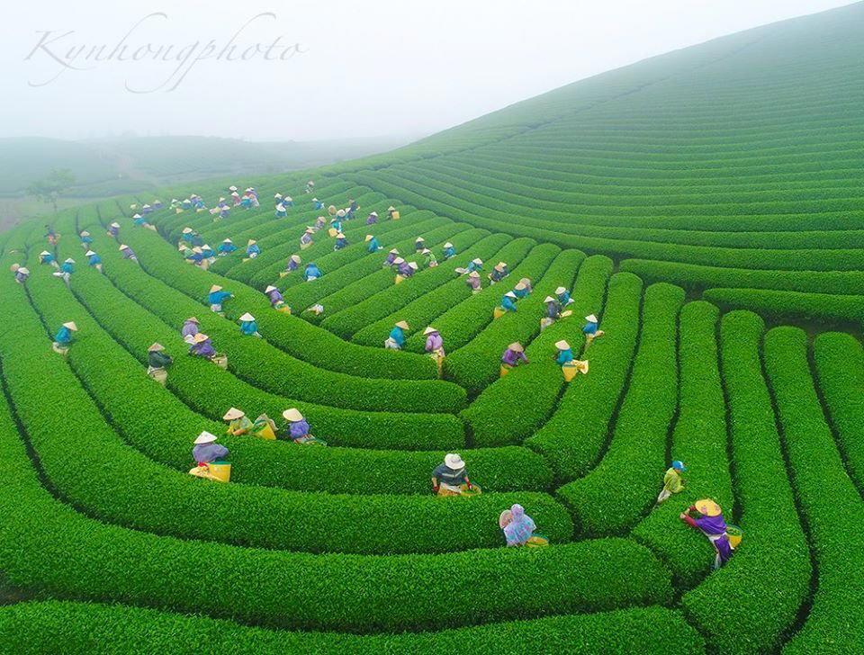 Moc Chau, Vietnam