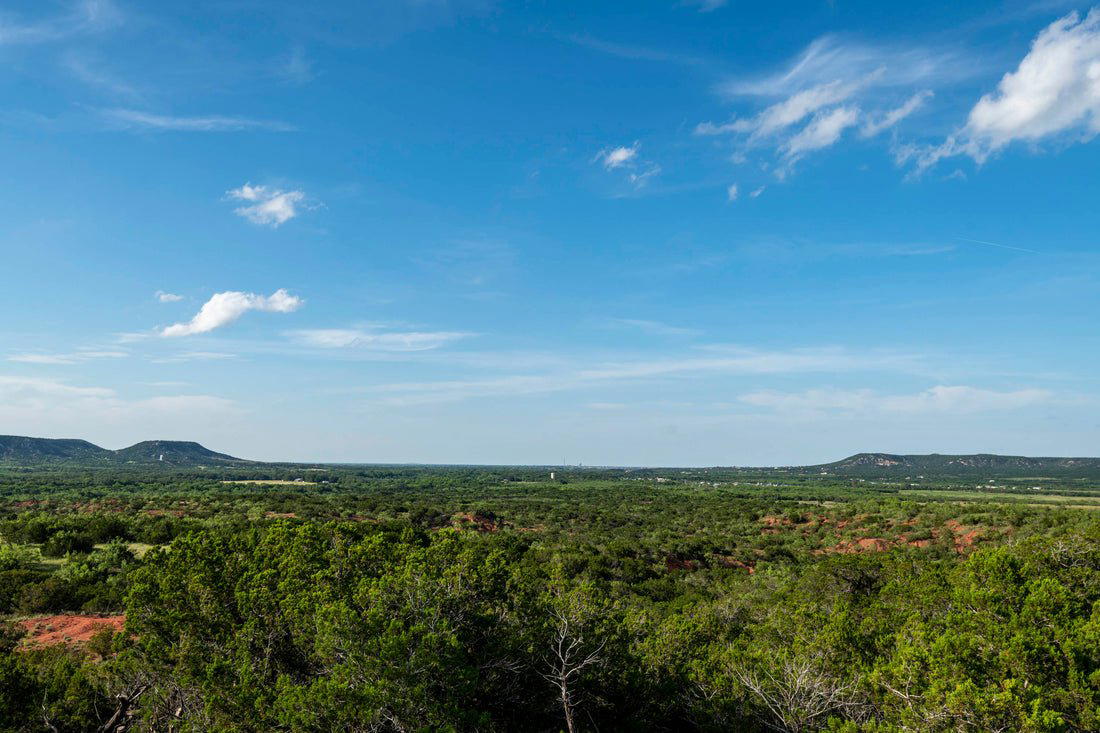 Buffalo Gap, United States