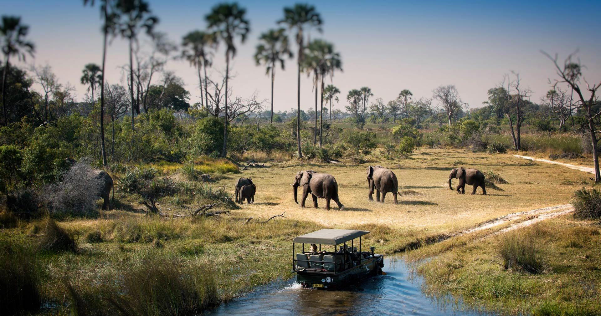 Chobe River, Botswana