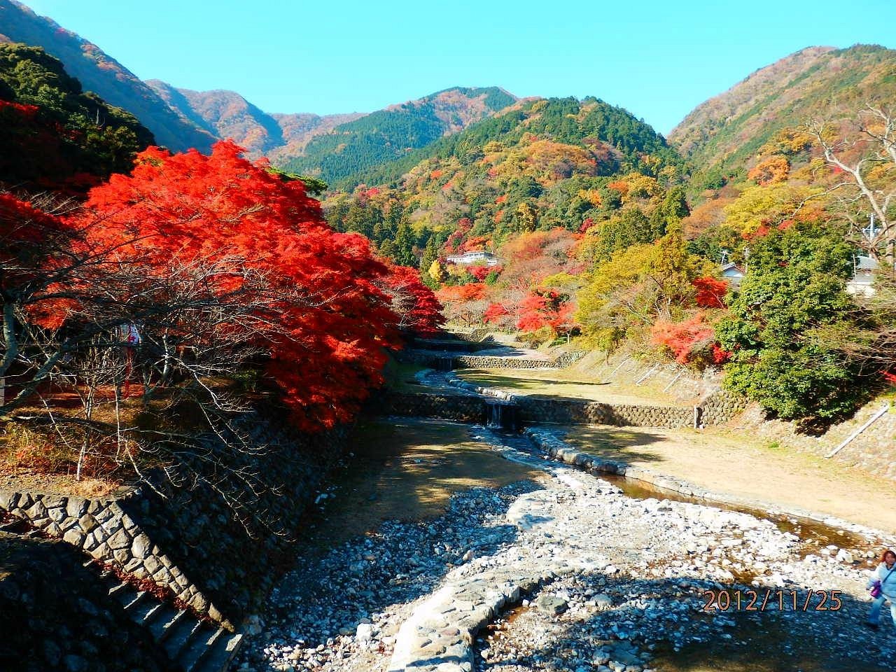 Yoro-gun, Japan