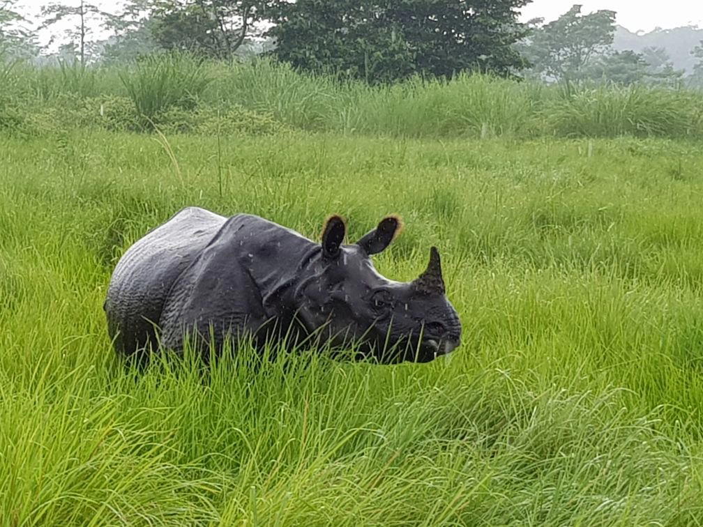 Bachhyauli, Nepal