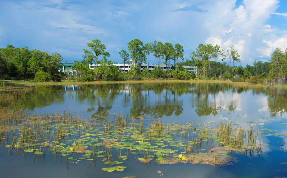 Estero, United States