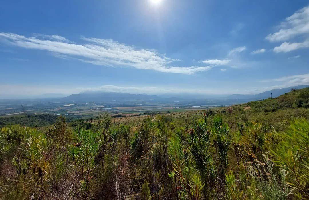 Drakenstein Nu, South Africa